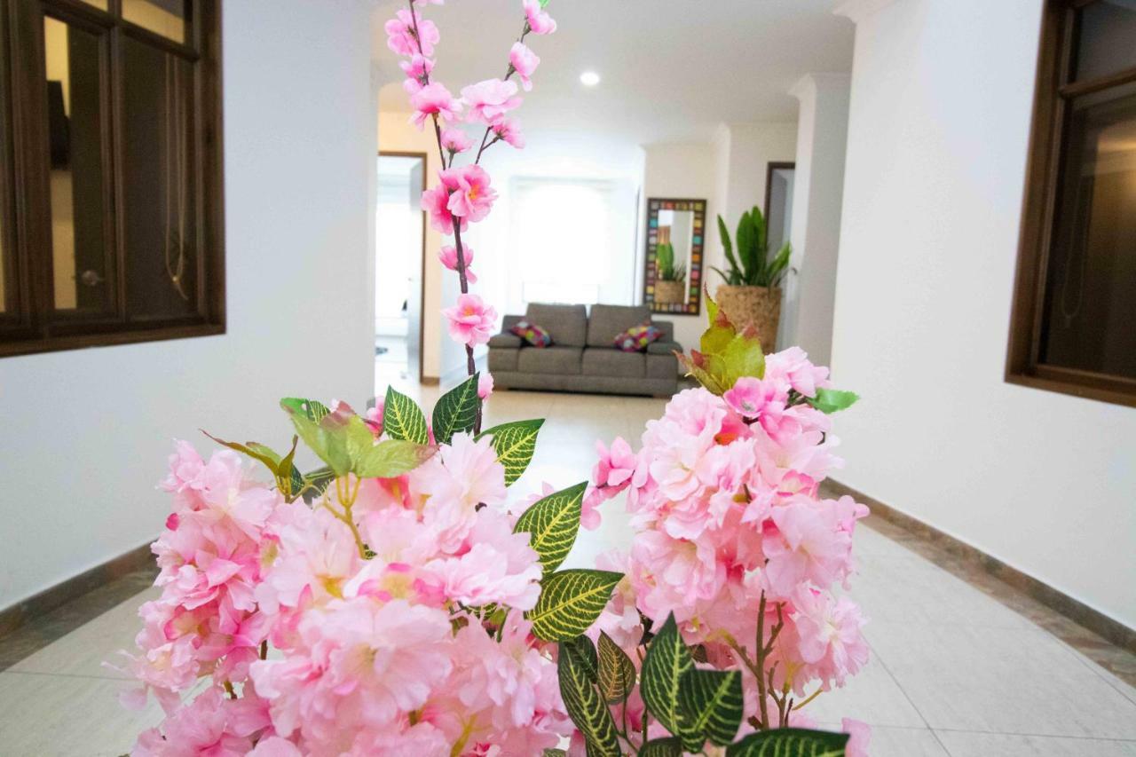 Hotel Madrid Plaza Colombia Dış mekan fotoğraf